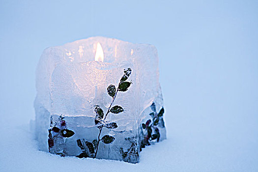 冰,蜡烛,叶子