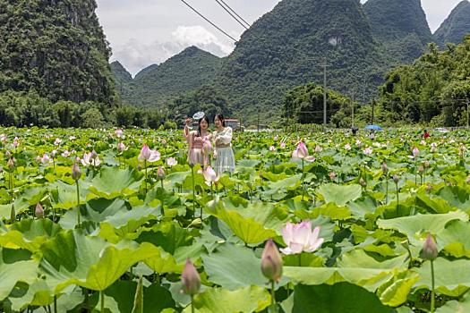 发动机化油器
