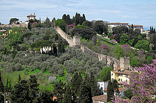 墙壁,观景楼,要塞,佛罗伦萨,托斯卡纳,意大利,欧洲