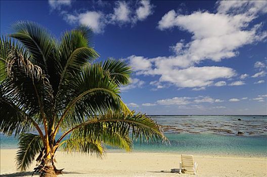 棕榈树,椅子,海滩,乐园,小湾,爱图塔基,烹饪,岛屿