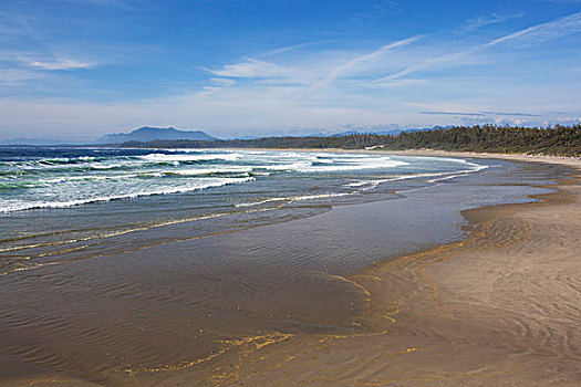 海滩,环太平洋国家公园,靠近,不列颠哥伦比亚省,加拿大