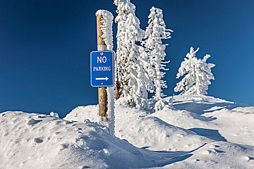 禁止停车,标识,攀升,阿什兰,滑雪胜地,南方,俄勒冈,美国