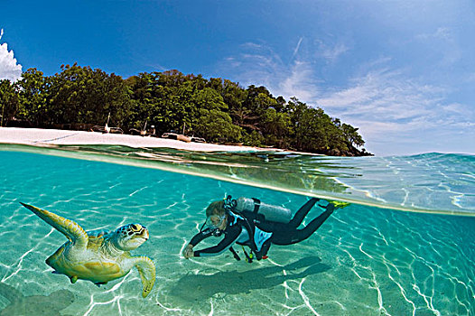 潜水员,海龟,浅,水,岛屿,巴拉望岛,菲律宾,太平洋