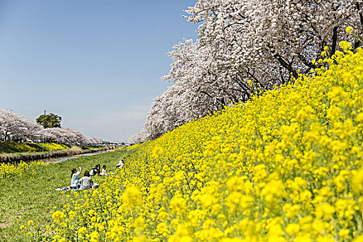 日本