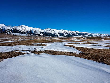 天山草原的雪