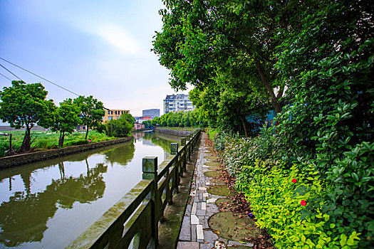 海曙,古林镇,包家村,河道,水环境质量,五水共治,绿色,树木