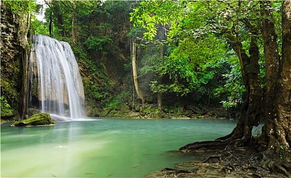 深,树林,瀑布,泰国