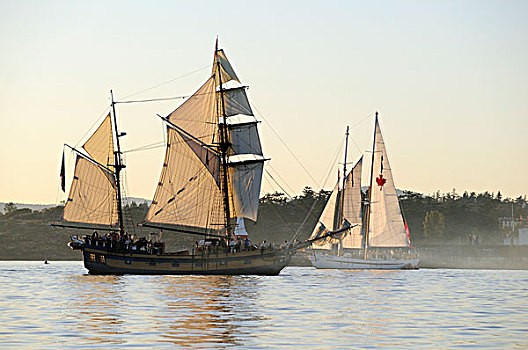 双桅船,夏威夷,酋长,维多利亚,温哥华岛,不列颠哥伦比亚省,加拿大