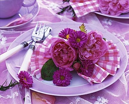 夏天,装饰,玫瑰,紫苑属