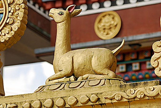 金色,鹿,雕塑,廟宇,佛塔,加德滿都,尼泊爾,亞洲