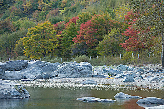 河道,河床,断流,干涸,旱季,石头,河卵石,倒影,植被,自然,风光,本溪,湖里村,秋季,红叶