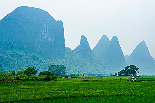 桂林田园风光