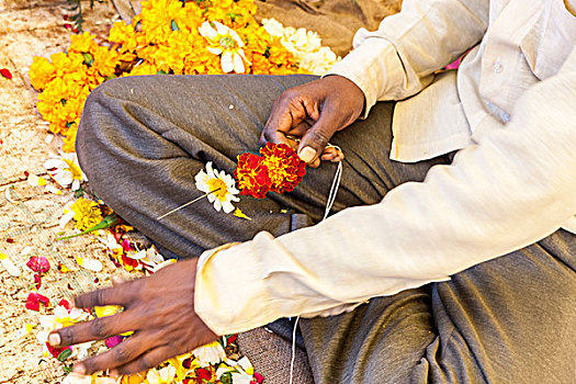 花,摊贩,粉红,城市,斋浦尔,拉贾斯坦邦,印度