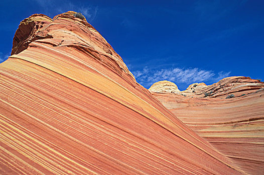 螺旋,砂岩构造,狼丘,区域,悬崖,荒野,亚利桑那