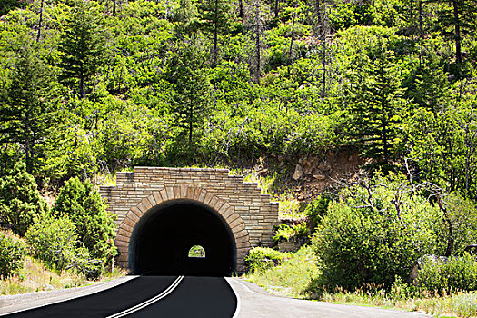 道路,隧道,梅萨维德国家公园,科罗拉多,美国