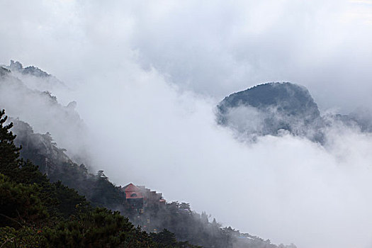 山,云海,雾