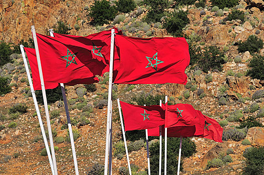 摩洛哥,旗帜,非洲