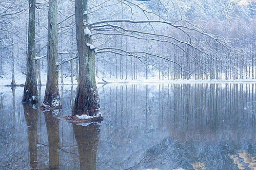 陕西汉中龙池雪景