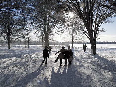 英格兰,牛津,孩子,玩雪,乡村