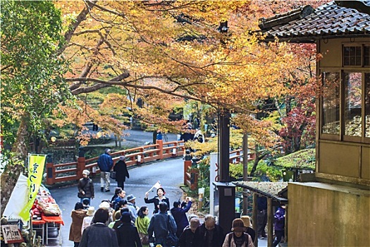 秋天,京都,日本