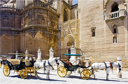 马车,正面,大教堂,塞维利亚,安达卢西亚,西班牙