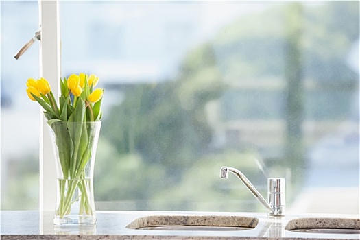 黄花,花瓶,水槽