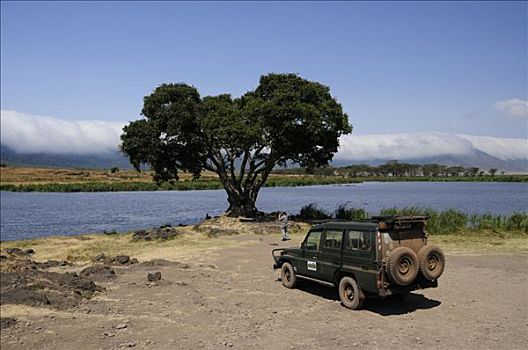 湿地,正面,云,边缘,恩格罗恩格罗,保护区,坦桑尼亚,非洲