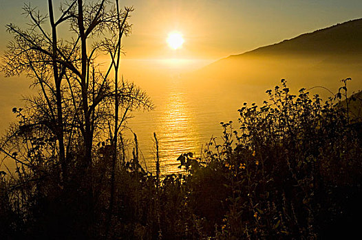 可爱,茴香,日落,上方,大,海岸线,加利福尼亚