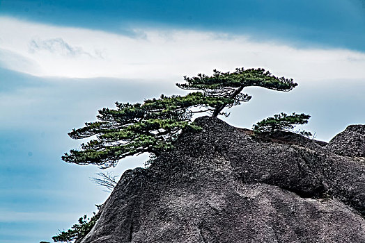 安徽黄山景观