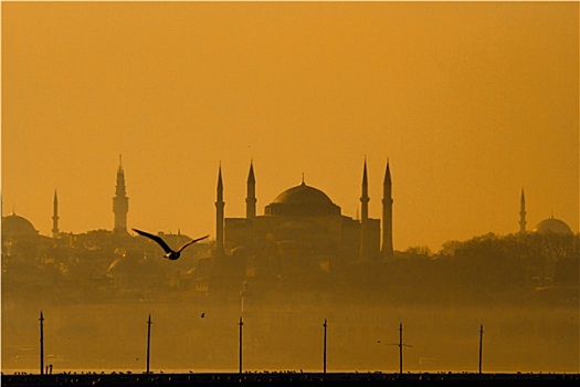 伊斯坦布尔,清真寺,剪影
