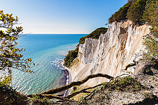 白垩断崖,山毛榉树,波罗的海,岛屿,西兰岛,区域,丹麦