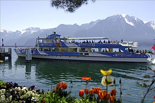 旅游,船,日内瓦湖,运输,码头,蒙特勒,阿尔卑斯山,瑞士,法国
