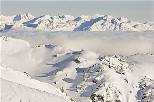 山峦,遮盖,大雪,高,雾,山脉,北方,提洛尔,奥地利,欧洲