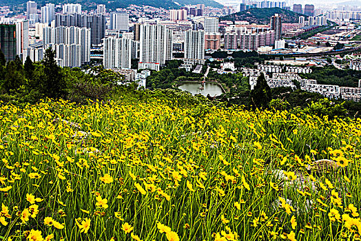 住房建设