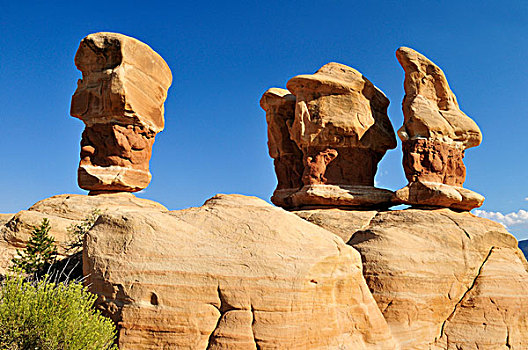 怪岩柱,花园,大阶梯-埃斯卡兰特国家保护区,犹他,美国,北美