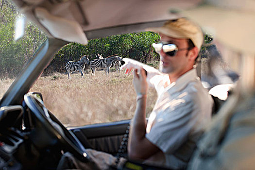 引导,指向,室外,斑马,斯坦陵布什,南非