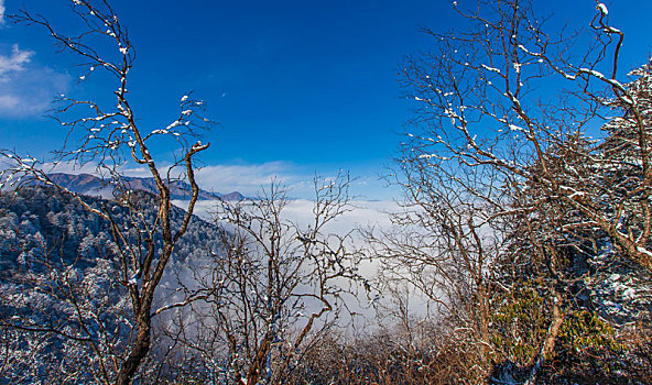 西岭雪山大雪的美丽风景