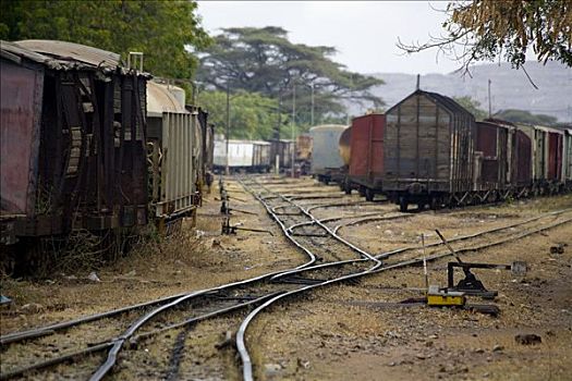 老,有轨列车,轨道,哈勒尔,埃塞俄比亚