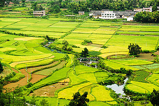 广东粤北山区农村