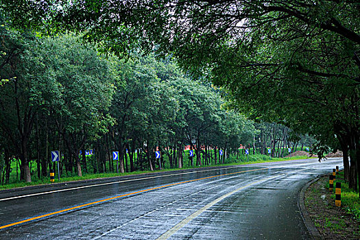 北京永定河左堤路,雨后路面