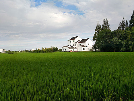 田园风光,乡村美景