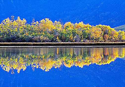 湖,瓦特顿湖国家公园,艾伯塔省,加拿大