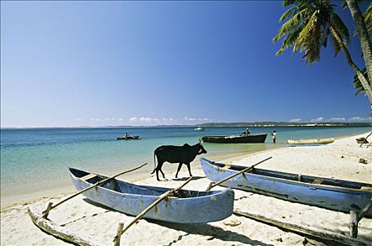 马达加斯加,海滩,风景