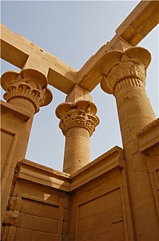 柱子,品种,菲莱岛,庙宇,埃及