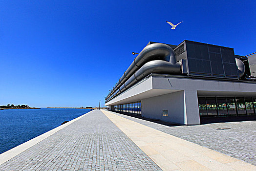 葡萄牙,维亚纳堡,文化中心,建筑师