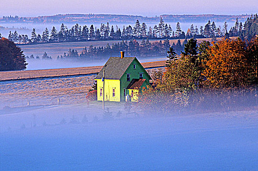 房子,早晨,薄雾,长,河,爱德华王子岛,加拿大