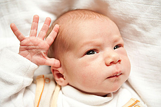 诞生,婴儿,女孩,两星期大,肖像,头部,脸,伸展,手指,小