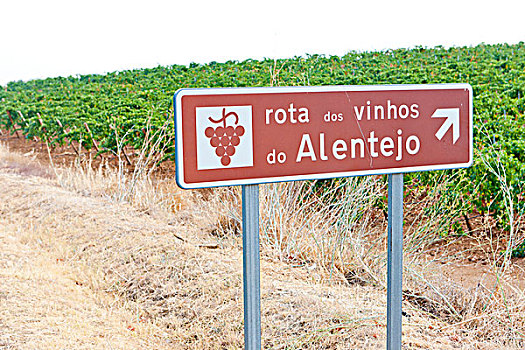 葡萄酒,路线,葡萄牙