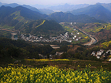 安徽黄山歙县石塘油菜花