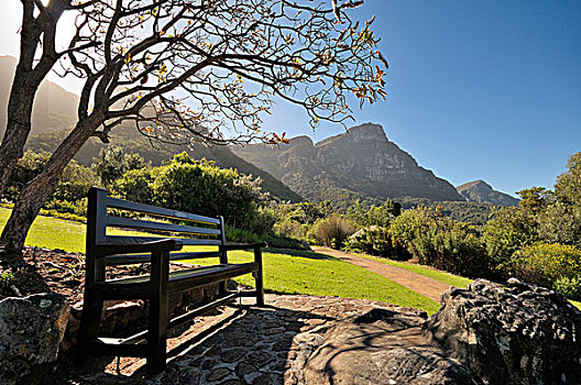 风景,桌子,山,植物园,开普敦,南非,非洲